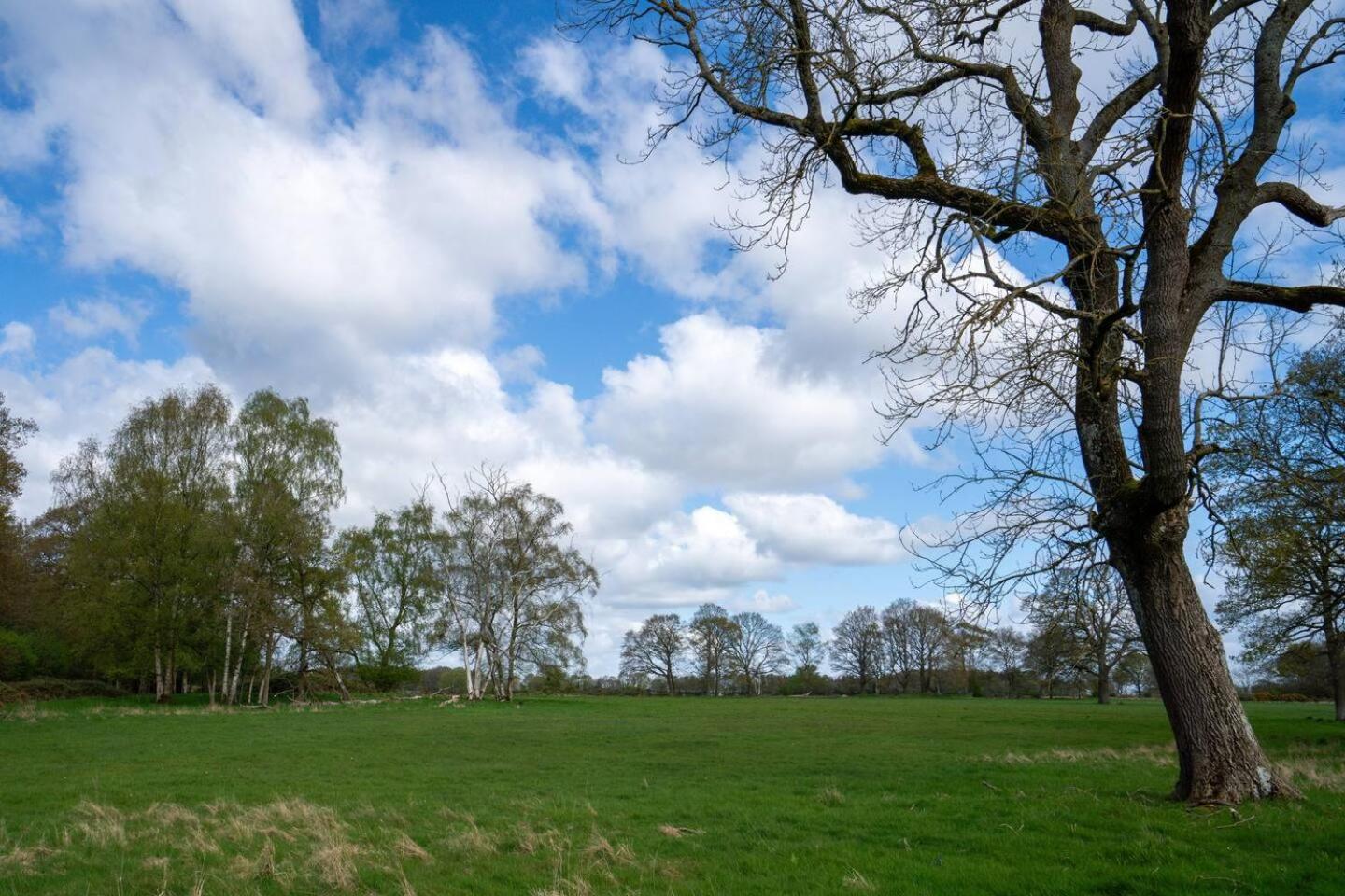 Pass The Keys Fourshires Lodge Wonderful Panoramic Views Moreton-in-Marsh Eksteriør billede